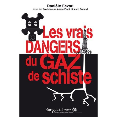 2013 Book The real dangers of shale gas