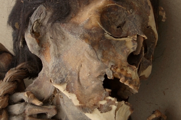 2014 Scientific American, photo mummy w poisoning, likely from drinking arsenic contaminated water