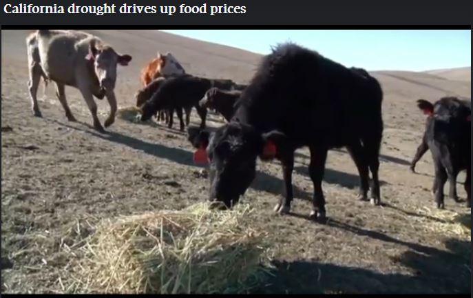 2014 02 27 California drought drives up food prices about 15 percent