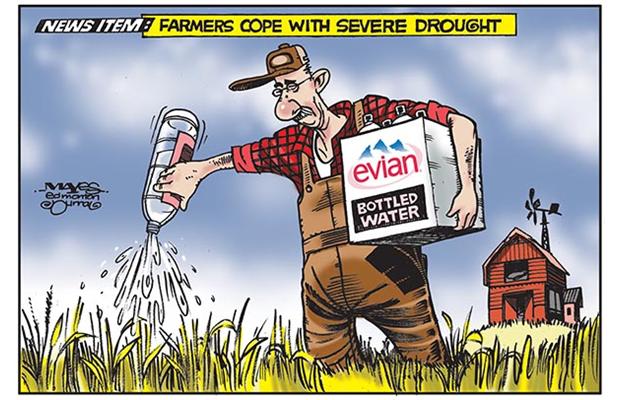 2015 07 22 alberta farmers cope with severe drought