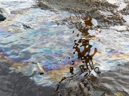 2016-05-25-09-04-28-oil leak repaired fall 2015 in Port au Port Bay at Shoal Point leaking again