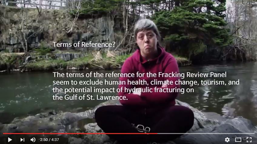 2016 06 02 snap of NLHFRP terms of reference in Dont frack NL musical submission to NLHFRP and petroculture 2016