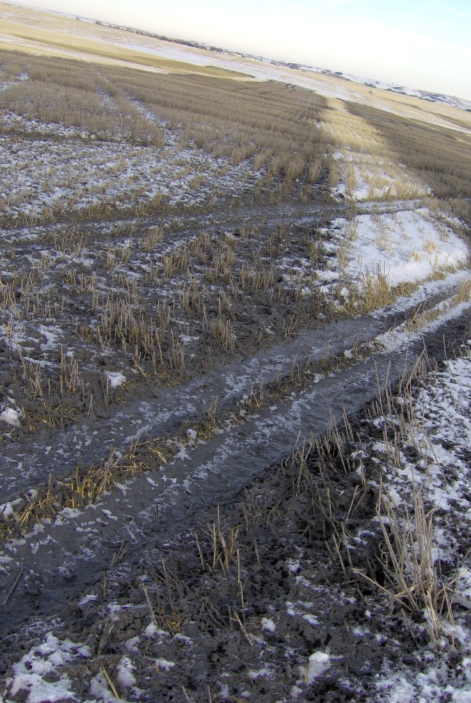 2012 11 EnCana Drilling Waste at Rosebud Alberta