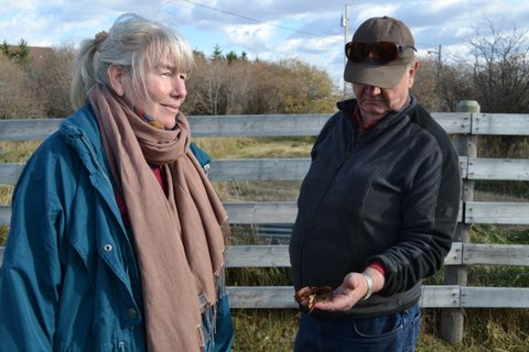 2013 10 19 Howard Hawkwood and Jessica Ernst, Hawkwood's ranch in the Lochend