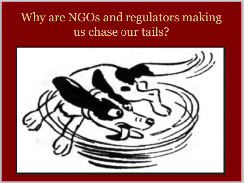 2014 05 24 snap Countenay presentation by Ernst AER NGOs making us chase our tails