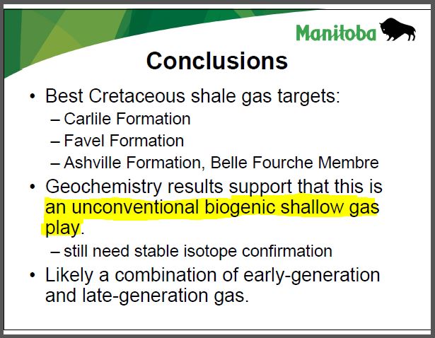 2008 biogenic shallow shale gas in manitoba Nicolas and Bamburak