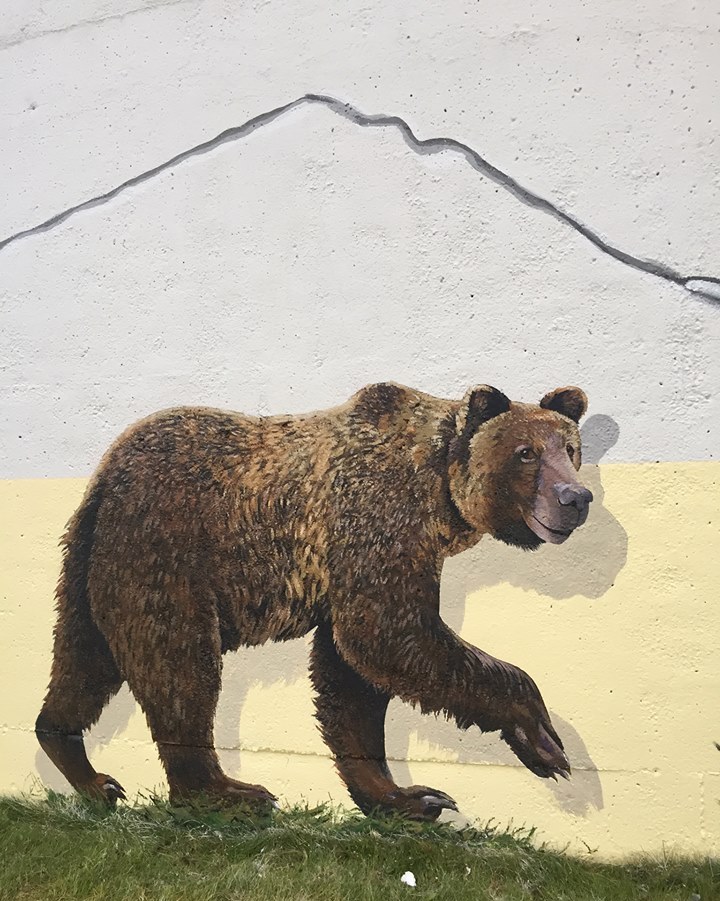 2015 Chevron funded Fox Creek water tower mural, did fracking crack it, close up frac cracks w bear