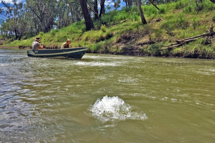 2016 Methane bubbling in Condamine River 'intensifying'