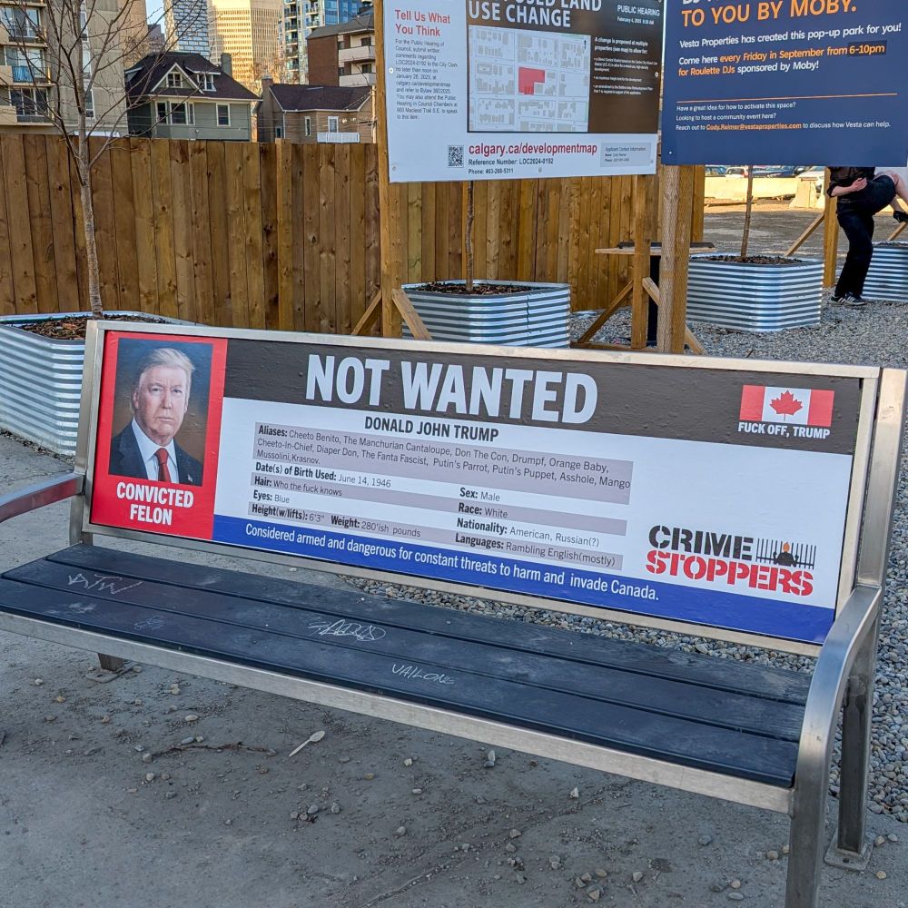 2025 04 04 bench Crime Stoppers advert seen at 17th Ave and 4th St, Calgary Alberta Canada, w photo of the portrait trump hates, headlined, NOT WANTEd with lots of name calling including "The Fanta Fascist" and canadian flag with text saying, FUCK OFF, TRUMP, bottom of ad says, "Considered armed and dangerous for constant threats to harm and invade Canada.