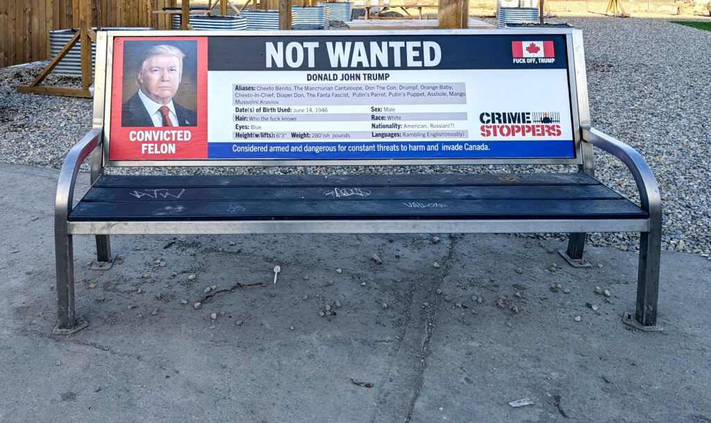 2025 04 04 Front View, bench Crime Stoppers advert seen at 17th Ave and 4th St, Calgary Alberta Canada, w photo of the portrait trump hates, headlined, NOT WANTEd with lots of name calling including "The Fanta Fascist" and canadian flag with text saying, FUCK OFF, TRUMP, bottom of ad says, "Considered armed and dangerous for constant threats to harm and invade Canada.