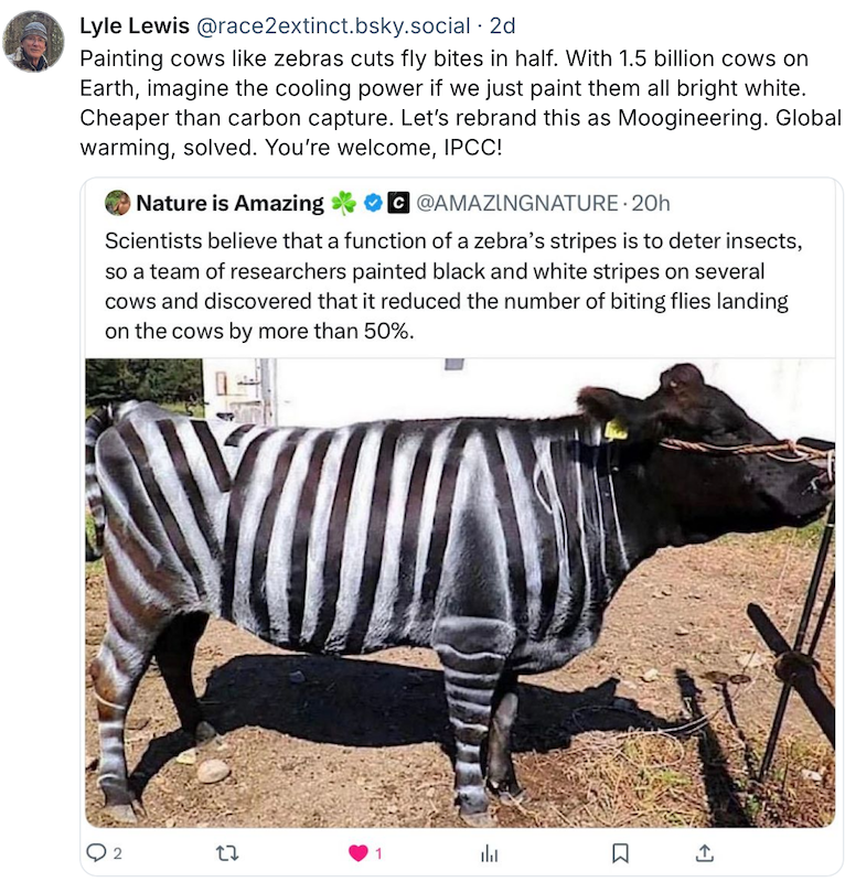 A photo of a black cow painted with white stripes, after scientists believed function of zebra's stripes is to deter insects. The stripes were found to reduce the number of biting flies by more than 50%. Comments by Lyle Lewis about this include, "With 1.5 billion cows on Earth, imagine the cooling power if we just paint them all bright white. Cheaper than carbon capture. Let's brand this as Moogineering. Global warming solved. You're welcome, IPCC!"