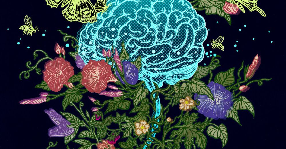 2025 04 22 article cover art work of flowers butterflies and bees around a brain, "sex hormones are brain hormones, what does this mean treating brain diseases"