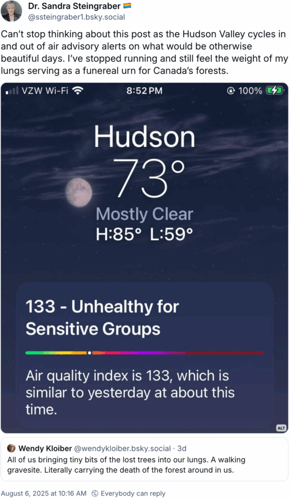 Screen shot of air quality alert for Hudson NY. AQI = 133 with tweet by Dr. Sandra Steingraber, "Can’t stop thinking about this post as the Hudson Valley cycles in and out of air advisory alerts on what would be otherwise beautiful days. I’ve stopped running and still feel the weight of my lungs serving as a funereal urn for Canada’s forests." responding to tweet by Wendy Kloiber, "All of us bringing tiny bits of the lost trees into our lungs. A walking gravesite. Literally carrying the death of the forest around in us."