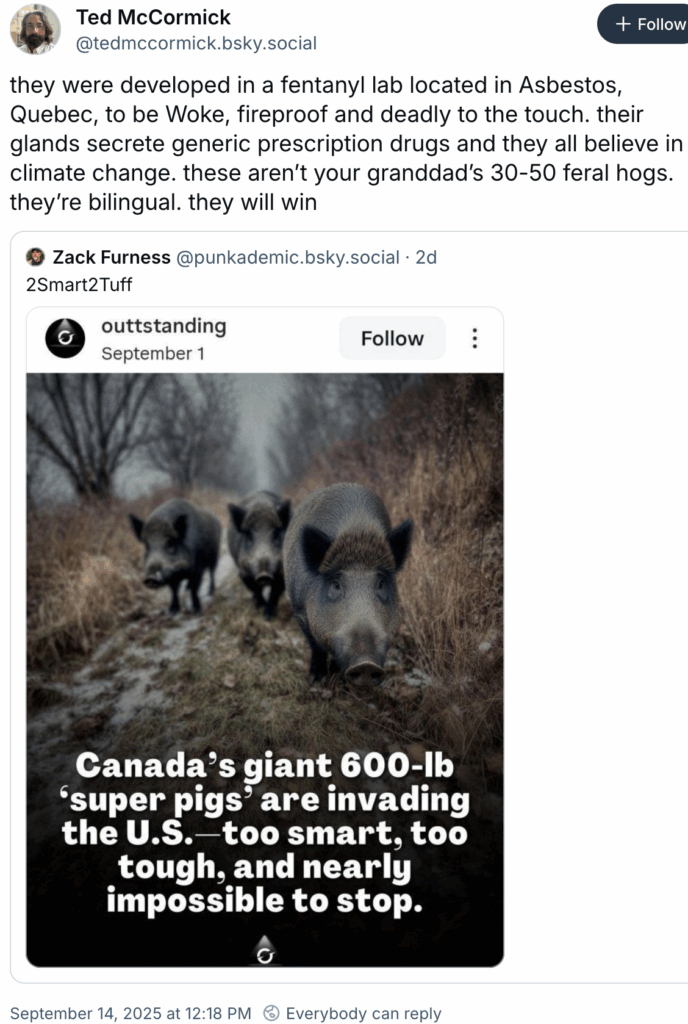 A tweet by @tedmccormick.bsky.social saying "they were developed in a fentanyl lab located in Asbestos, Quebec, to be Woke, fireproof and deadly to the touch. their glands secrete generic prescription drugs and they all believe in climate change. these aren’t your granddad’s 30-50 feral hogs. they’re bilingual. they will win" with a visual of three 600 lb Canadian feral super pigs invading USA, with text "too smart, too tough, and nearly impossible to stop."