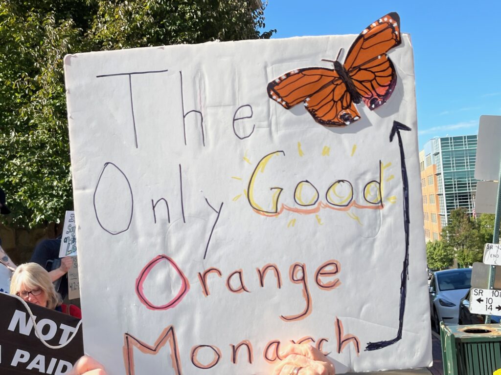 2025 10 18 no kings protest in Pennsylvania, photo of a sign with a painting of a monarch butterfly, and text "The only good orange monarch" with a black arrow pointing to the butterfly.