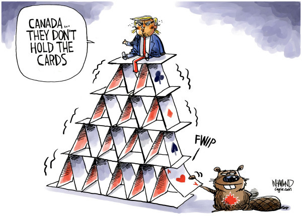 Cartoon showing pyramid of cards with trump at the top, his long red tie having over, saying, "Canada...they don't hold the cards." A beaver with Canadian Maple Leaf is at the bottom, pulling out an Ace.