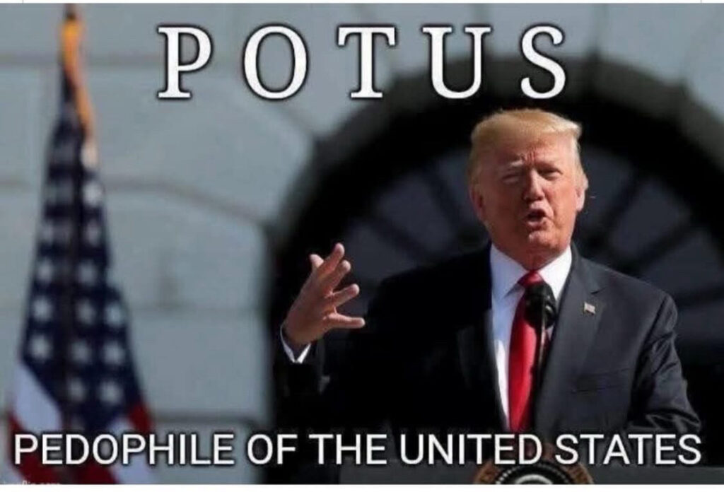 Photo of the orange Nazi with as usual, his mouth pursed stupidly and arrogantly, one hand up and fingers splayed. Text at the top of the photo = "POTUS" Text at the bottom = "Pedophile of the United States"