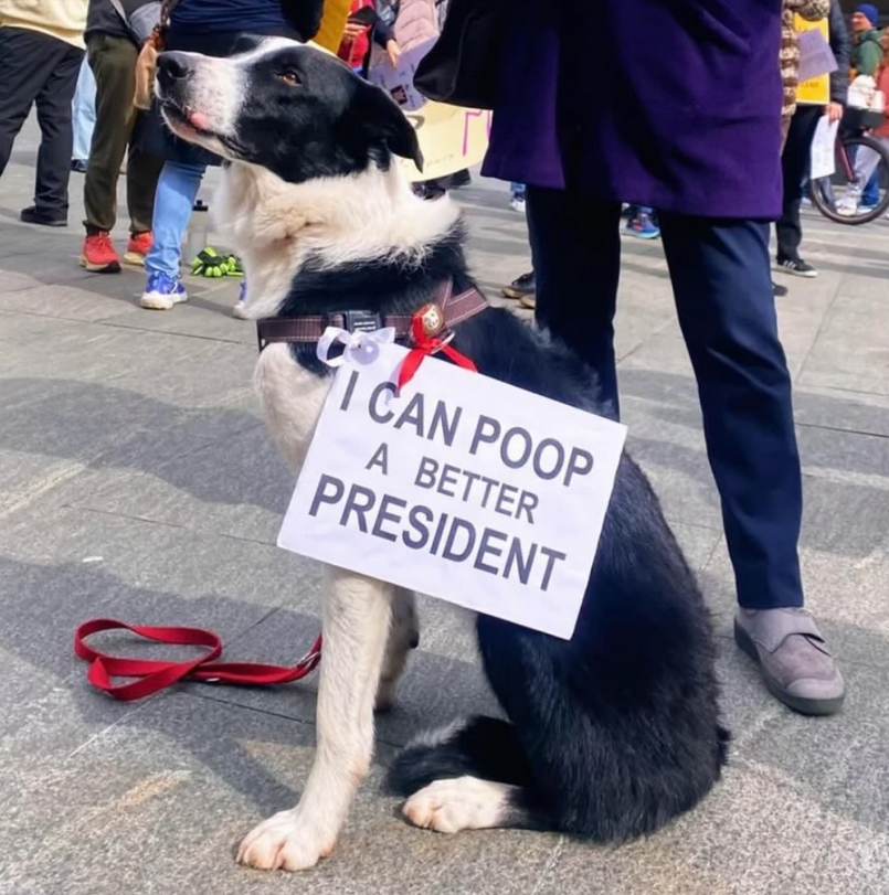 Photo of a protester with a dog wearing a sign which reads, "I can poop a better president"