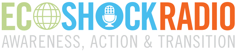 EcoshockRadio Logo