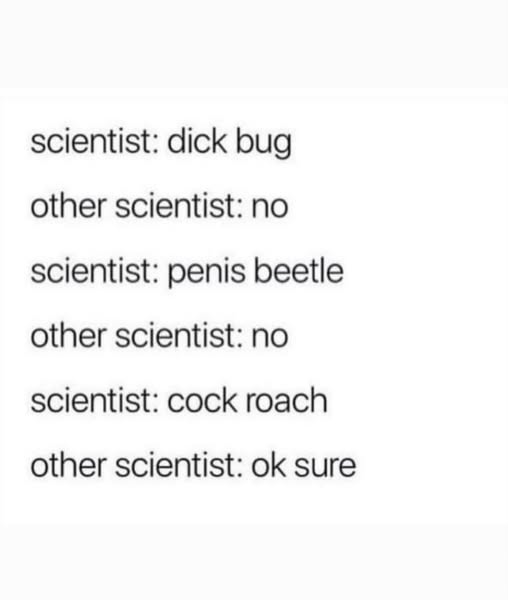 How Cock Roach Came to be Named: Text that says in 6 lines: scientist: dick bug other scientist: no scientist: penis beetle other scientist: no scientist: cock roach other scientist: ok sure
