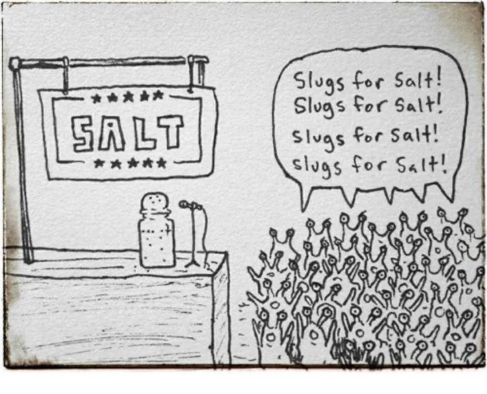 cartoon of salt shaker at a podium with microphone, and sign above saying SALT

speaking to crowd of slugs yelling "slugs for salt! over and over