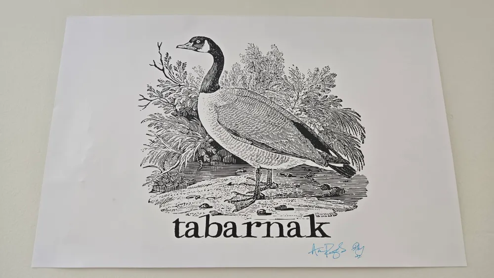Effinbirds "tabarnak"
