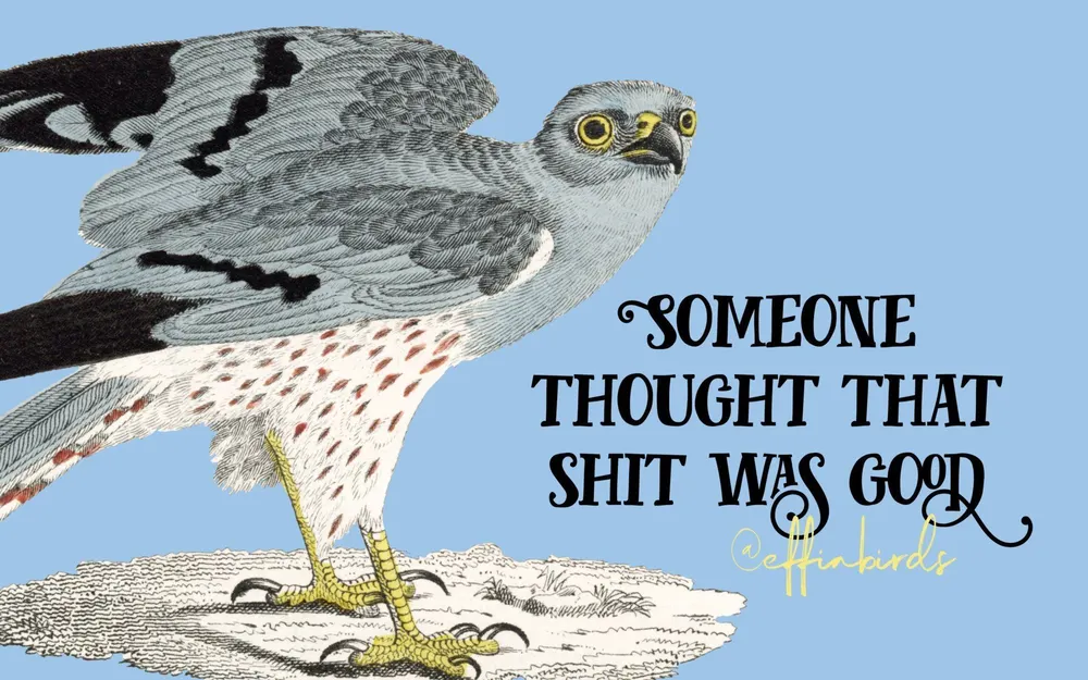 effinbirds “someone thought that shit was good”