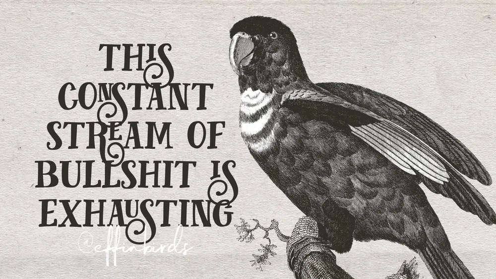 effin bird with text "This constant stream of bullshit is exhausting"