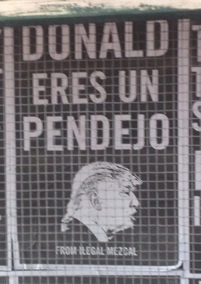 Protest sign "Donald eres un Pendejo"